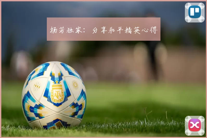 杨芳独家：分享和平精英心得