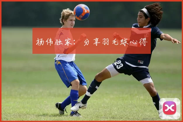 杨伟独家：分享羽毛球心得