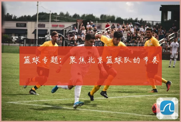 篮球专题：聚焦北京篮球队的节奏