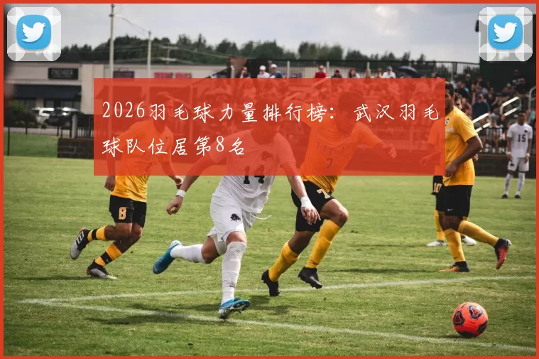 2026羽毛球力量排行榜：武汉羽毛球队位居第8名