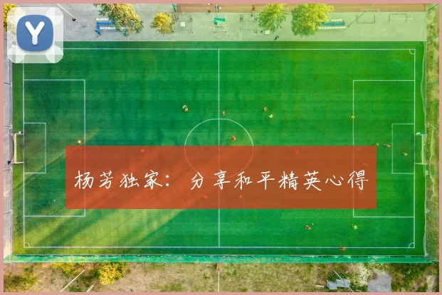 杨芳独家：分享和平精英心得