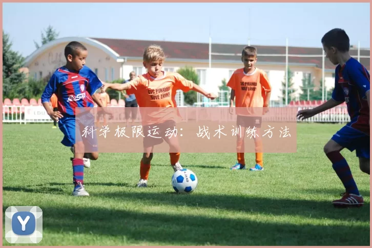 科学极限运动：战术训练方法