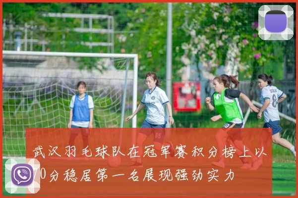 武汉羽毛球队在冠军赛积分榜上以70分稳居第一名展现强劲实力