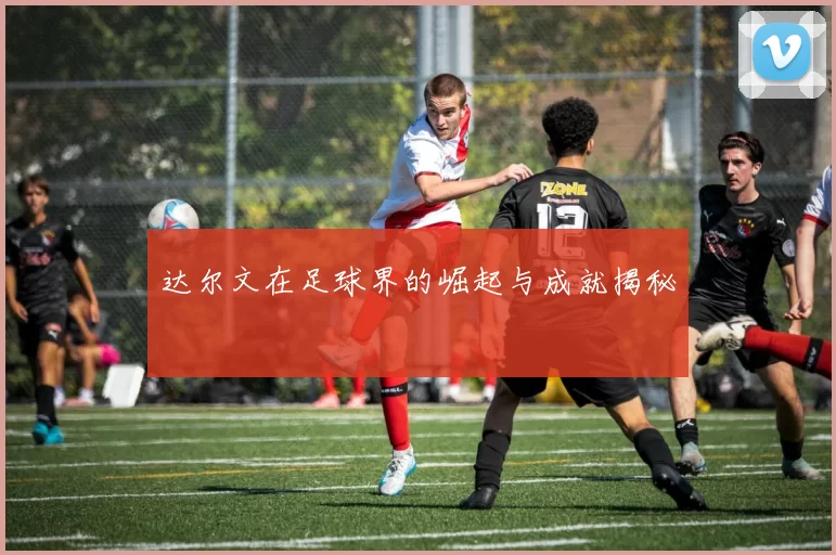 达尔文在足球界的崛起与成就揭秘